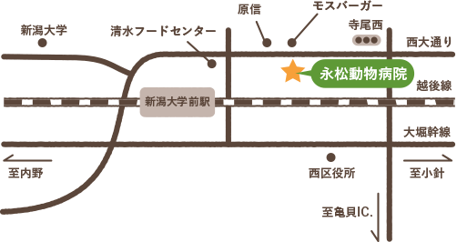 西大通沿いのモスバーガー(新潟大学前店)様の斜め向かいにあります