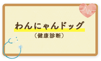 わんにゃんドッグ（健康診断）